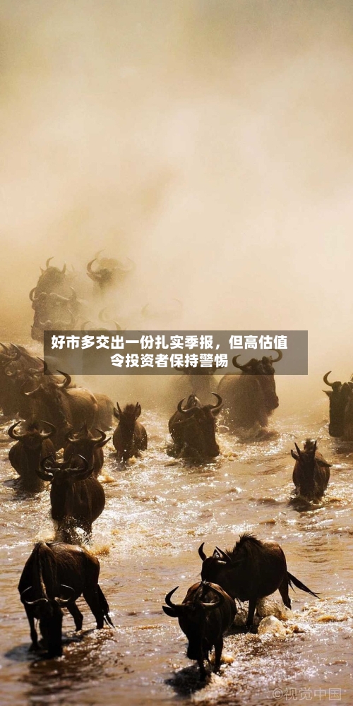 好市多交出一份扎实季报，但高估值令投资者保持警惕-第2张图片