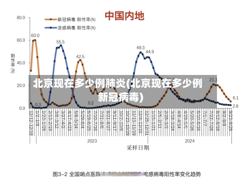 北京现在多少例肺炎(北京现在多少例新冠病毒)