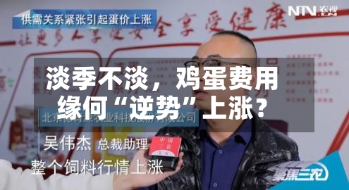 淡季不淡，鸡蛋费用缘何“逆势	”上涨？-第2张图片