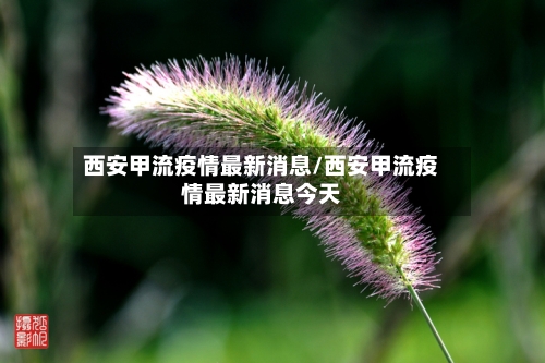 西安甲流疫情最新消息/西安甲流疫情最新消息今天