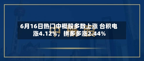 6月16日热门中概股多数上涨 台积电涨4.12%，拼多多涨2.44%-第3张图片