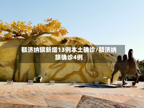 额济纳旗新增13例本土确诊/额济纳旗确诊4例-第2张图片