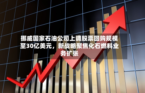 挪威国家石油公司上调股票回购规模至30亿美元	，新战略聚焦化石燃料业务扩张-第2张图片