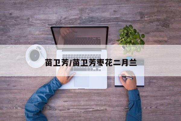 苗卫芳/苗卫芳枣花二月兰