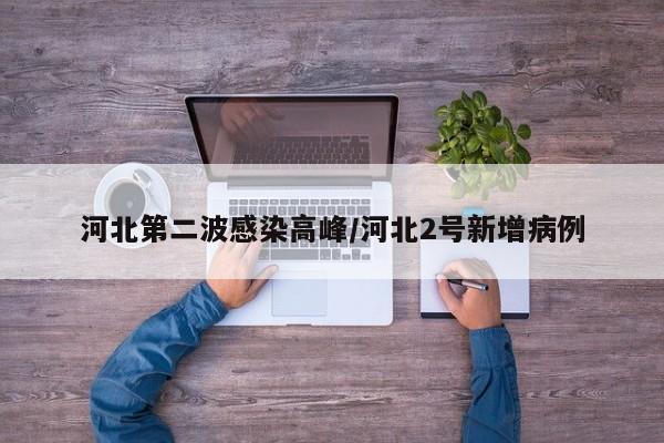 河北第二波感染高峰/河北2号新增病例