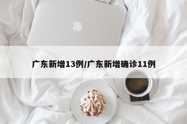广东新增13例/广东新增确诊11例