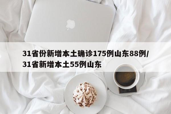 31省份新增本土确诊175例山东88例/31省新增本土55例山东