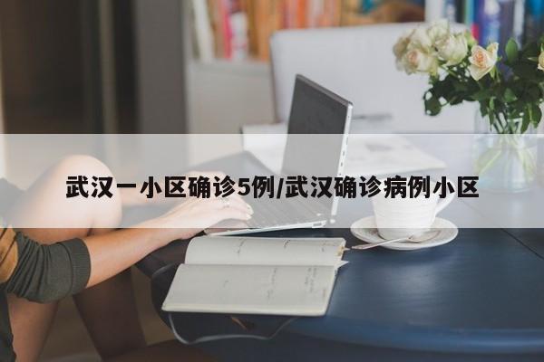 武汉一小区确诊5例/武汉确诊病例小区