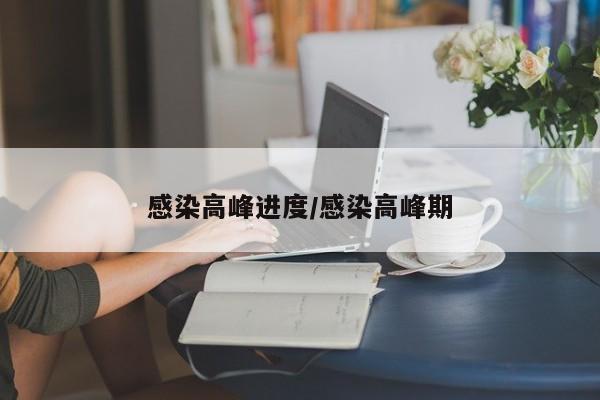 感染高峰进度/感染高峰期